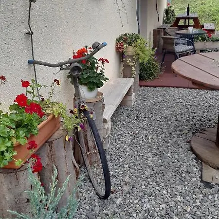 Bike 1
